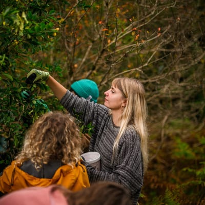 Forest rising group