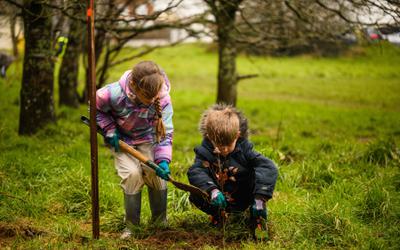 Community Forest Action Day 8212