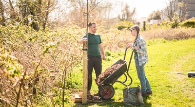 Forest Rising Tree Planting Collings Park 8369