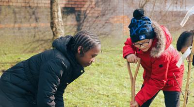School planting