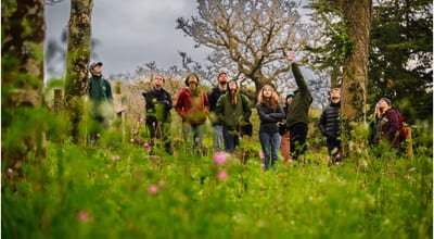Forest rising group